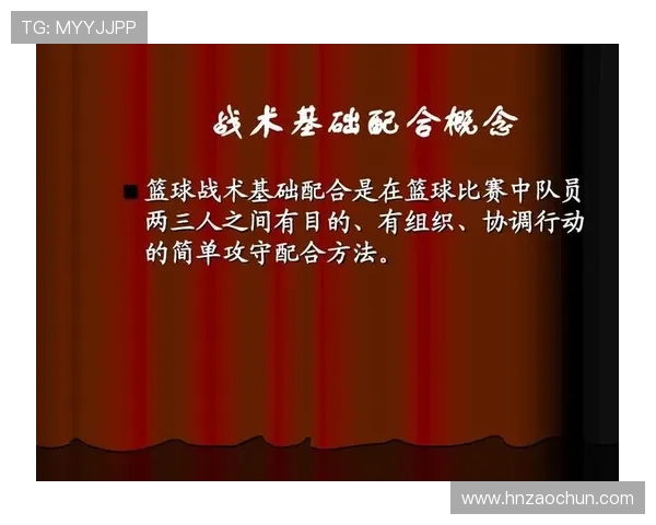 深圳羽毛球队快攻战术揭秘与深度分析探索