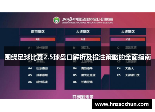 围绕足球比赛2.5球盘口解析及投注策略的全面指南